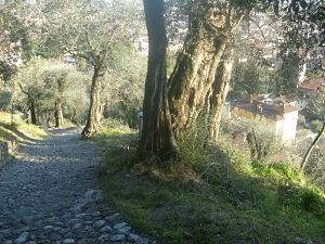 trail to the middle ages castle, Marostica, Veneto, Italy