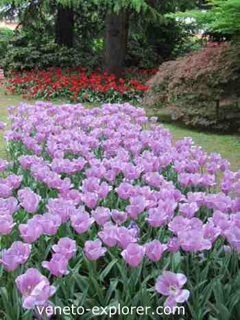 Sigurta garden, Veneto Italy